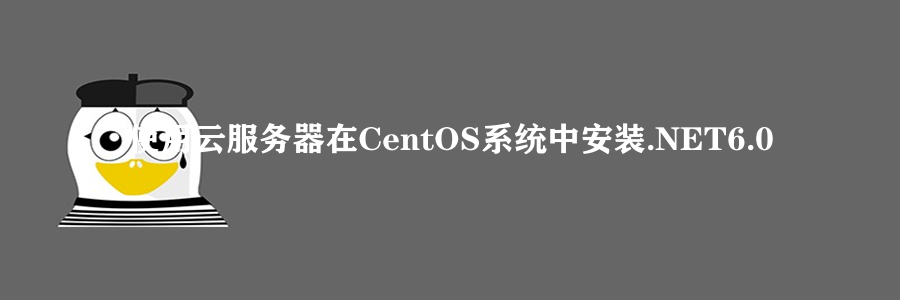 使用云服务器在CentOS系统中安装.NET6.0